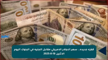 قفزة جديدة.. سعر الدولار الأمريكي مقابل الجنيه في البنوك اليوم الاثنين 18-8-2025